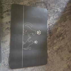 Pet feeding mat
