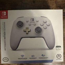 Nintendo Switch Controller 