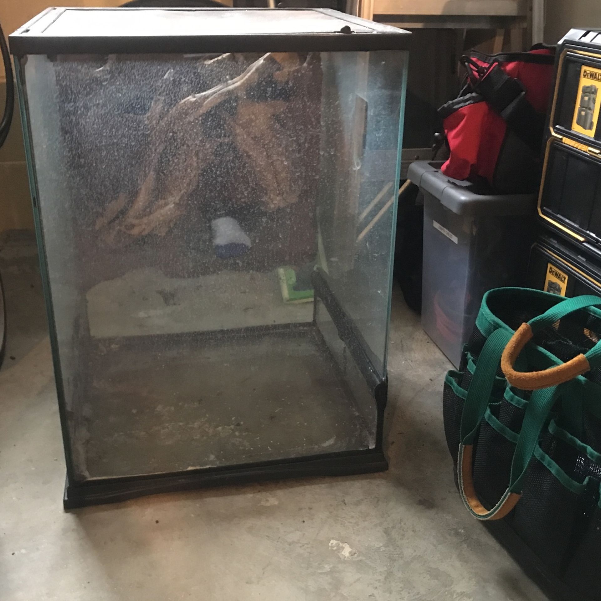 Lizard Cage