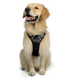 Black High Quality Heavy Duty Adjustable Pet Harness