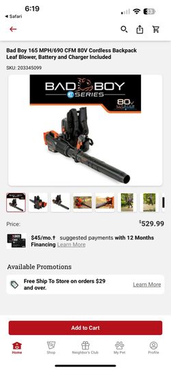 Bad Boy Backpack Blower
