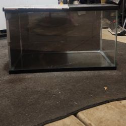 10 Gallon Reptile Tank