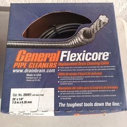 Auger Snake New New