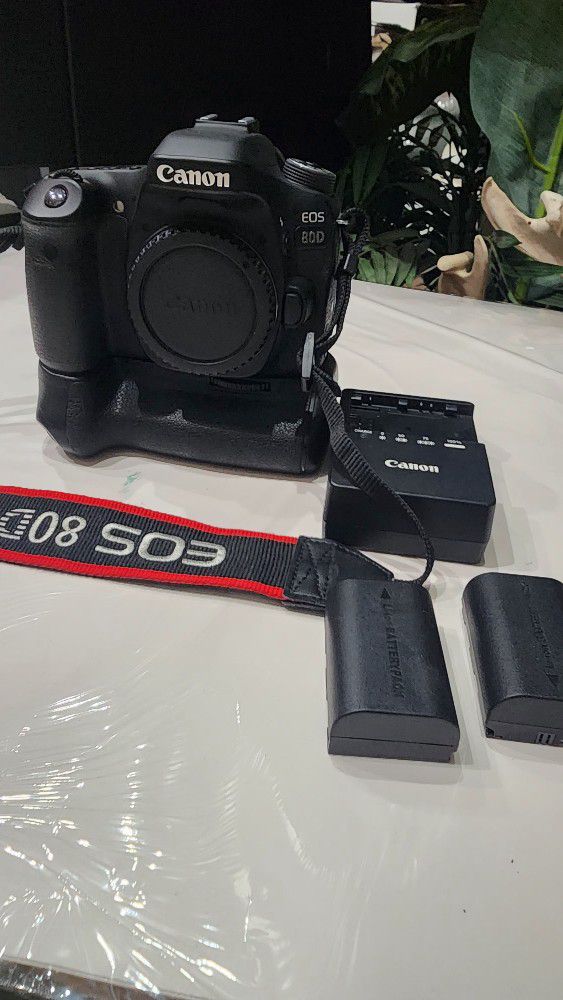 Canon 80D With Battery Grip, 2 Batteries, And Charger