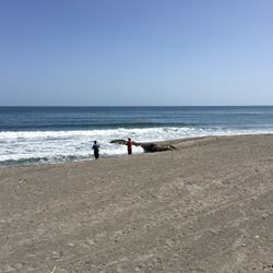 Beach View Lot Steps From Beach Sand In C.A.