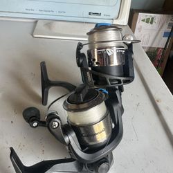 Shakespree Reels 