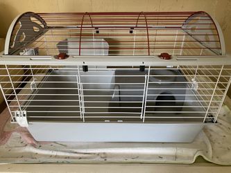 Living World Guinea Pig Habitat