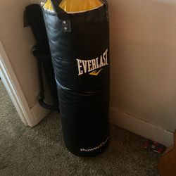 Ever Last Punching Bag 