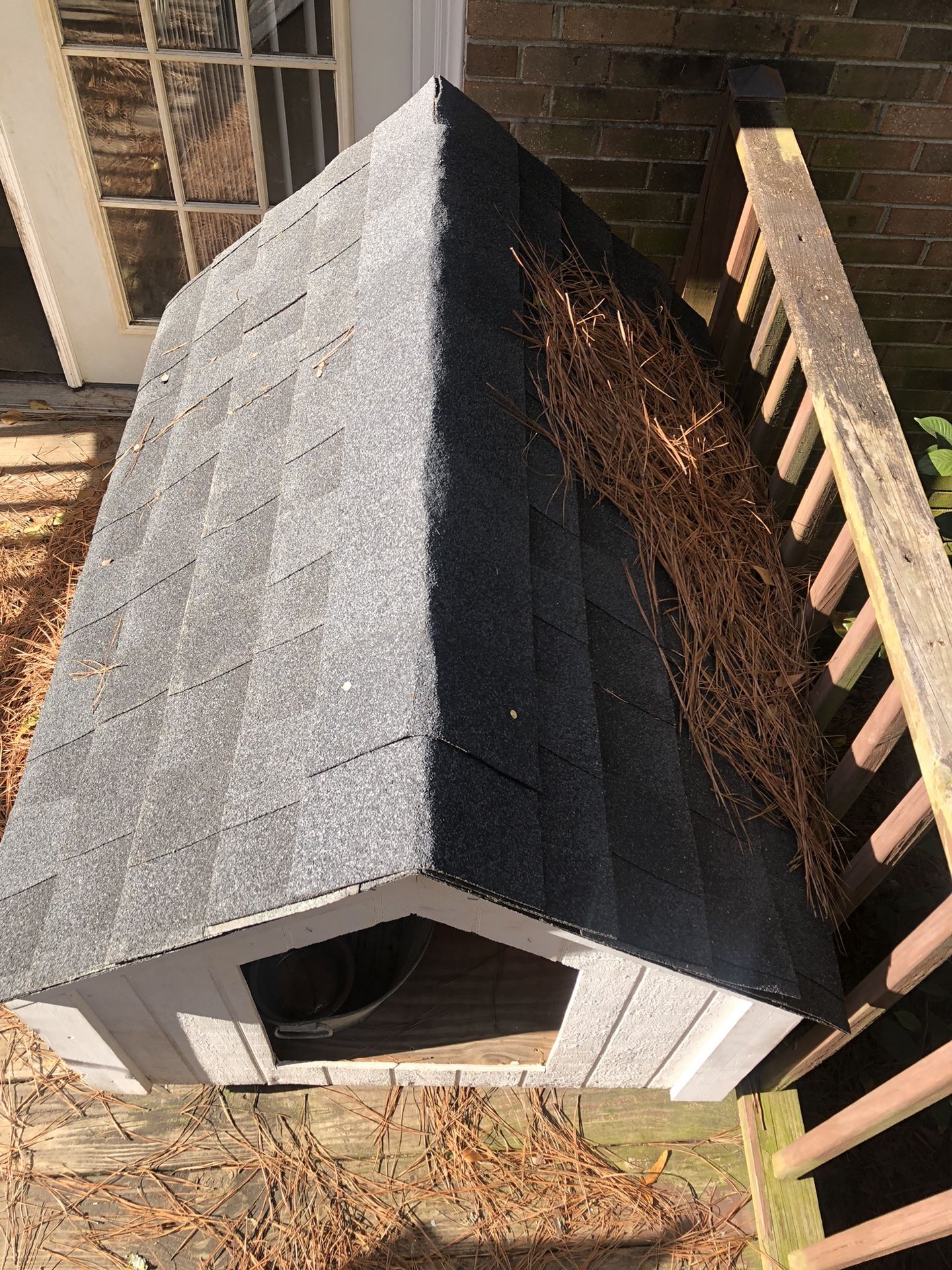 Dog House