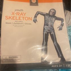 Skeleton
