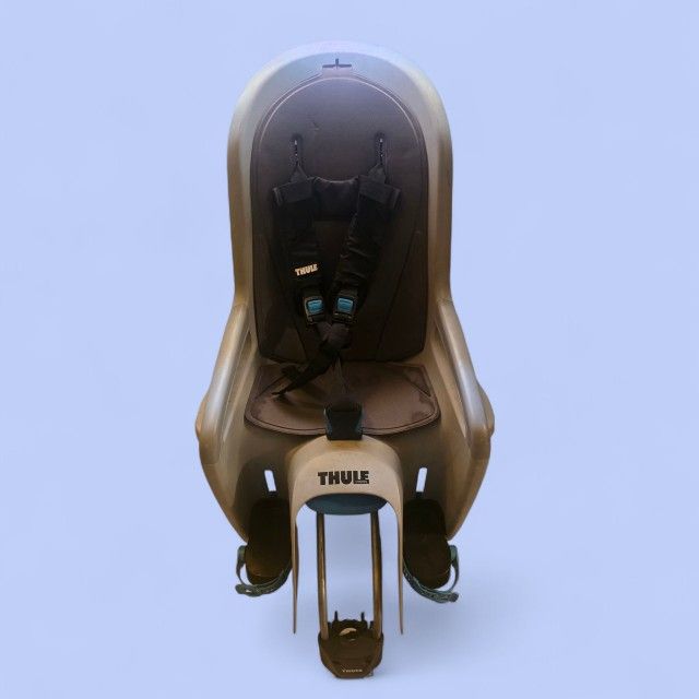 Thule Child bike seat. Normal wear, but fully functional. 