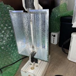 Growing Lights $150 Each