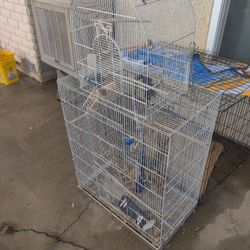 Birdcage