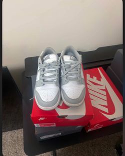 Dunks 10.5