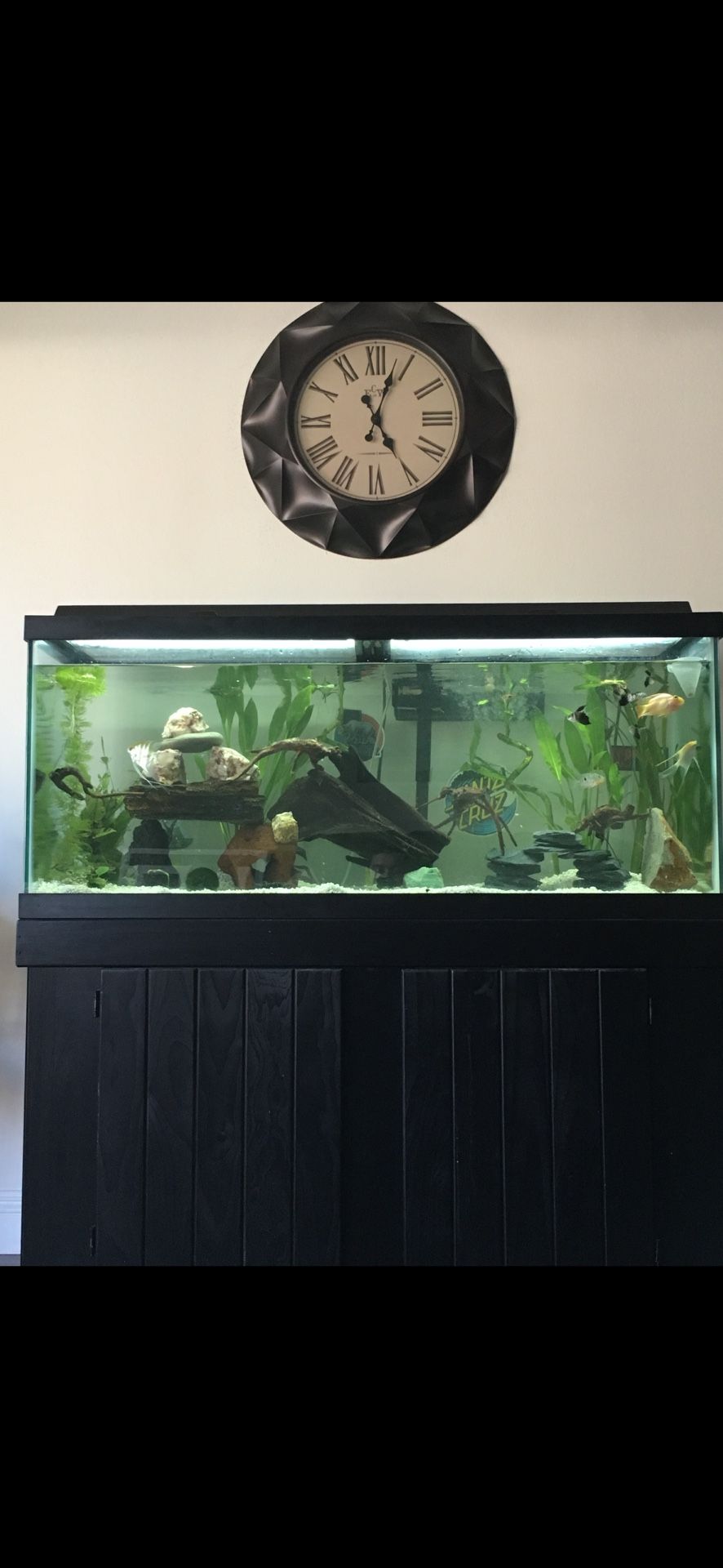 75 Gallon Fish Tank & Stand
