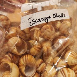 High Quality Ask Cargo Shells,