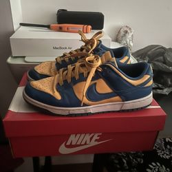 Nike Dunks 