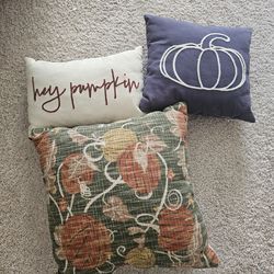 Seasonal couch pillows