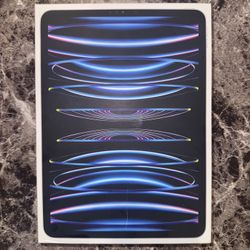 iPad Pro 11th (4th Gen)(128GB)