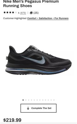 Nike Air Zoom Pegasus 9.5 men