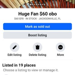 Huge BEAUTIFUL Fan $60 Obo