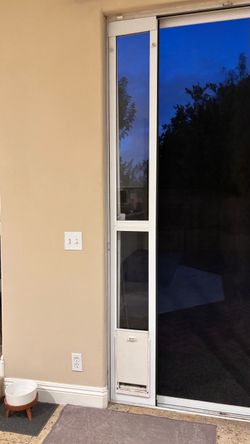 Doggy door