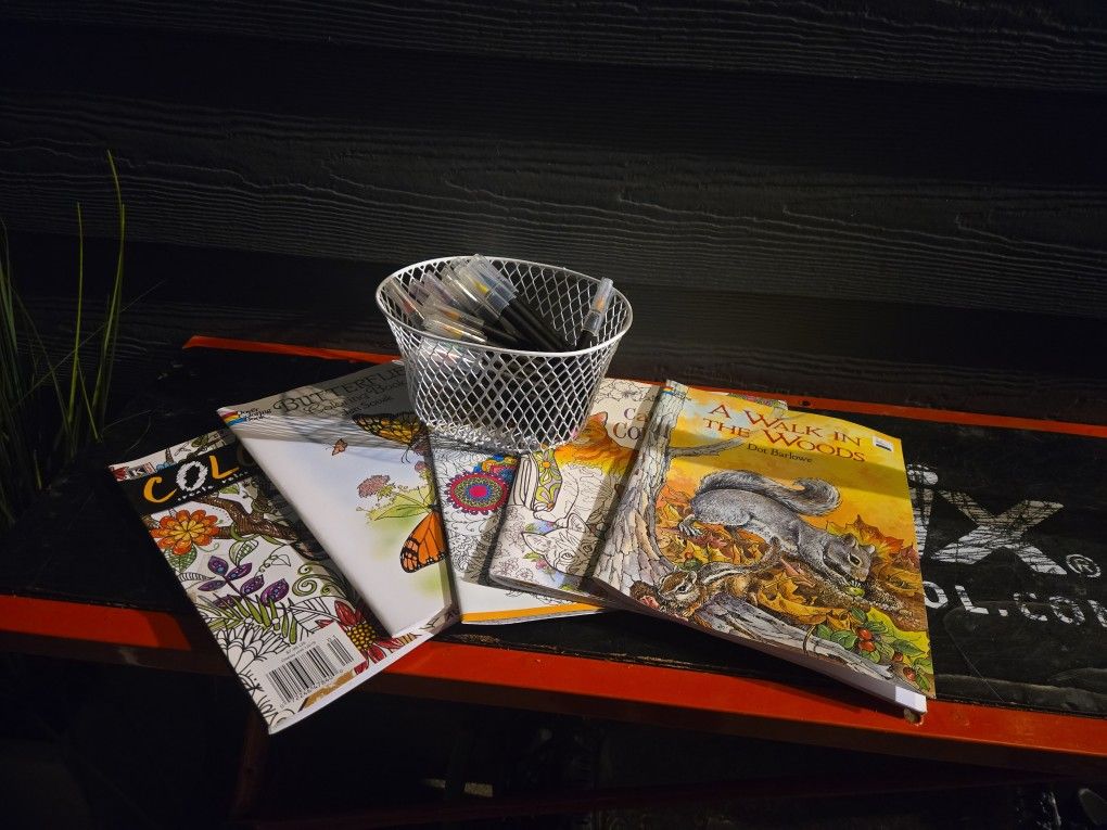 Coloring Books And Paint Brush Markers