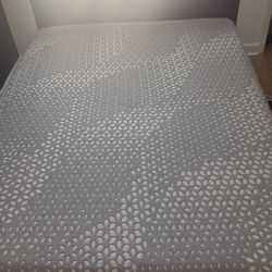 Sealy Mattress