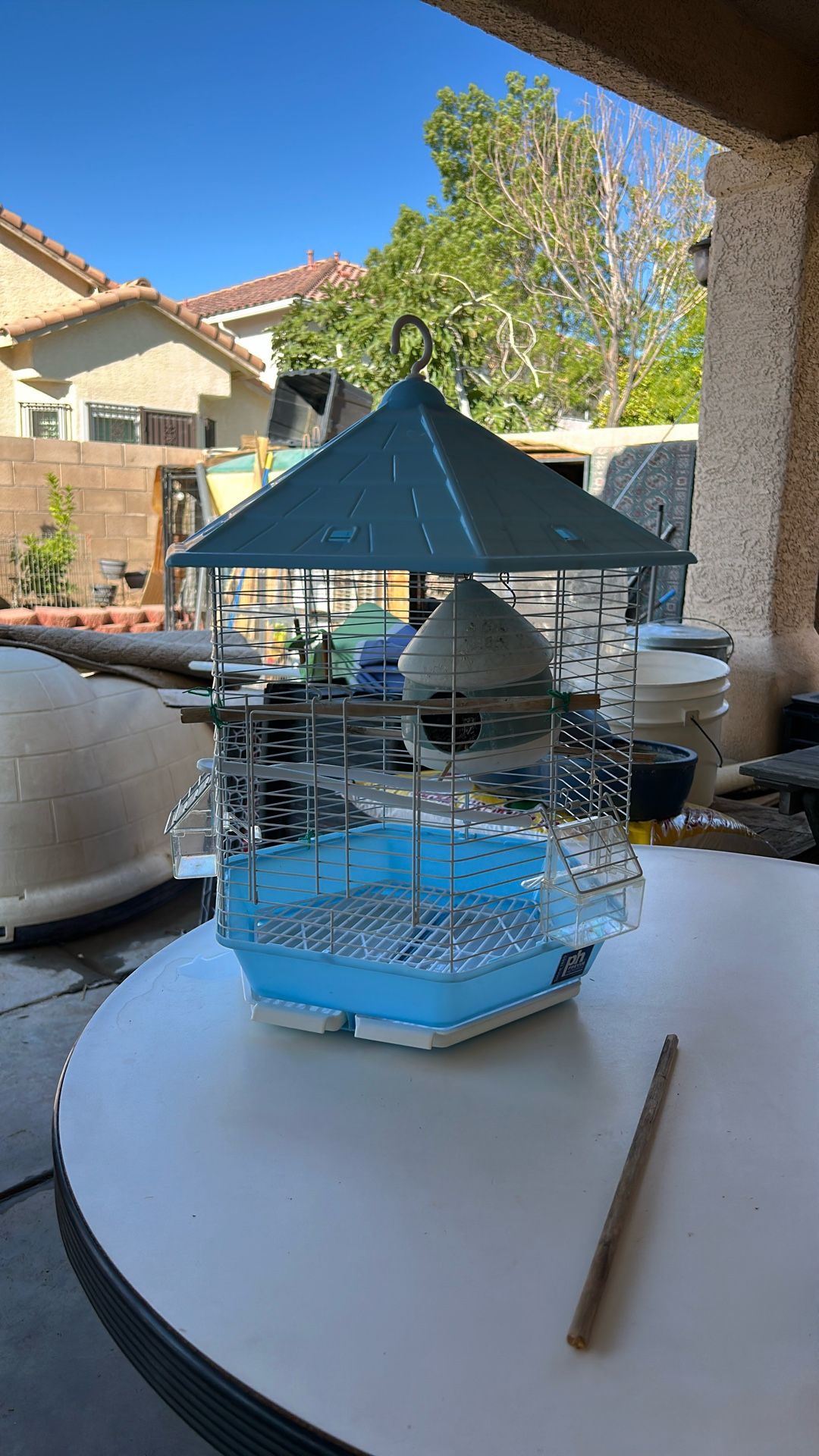 Bird Cage