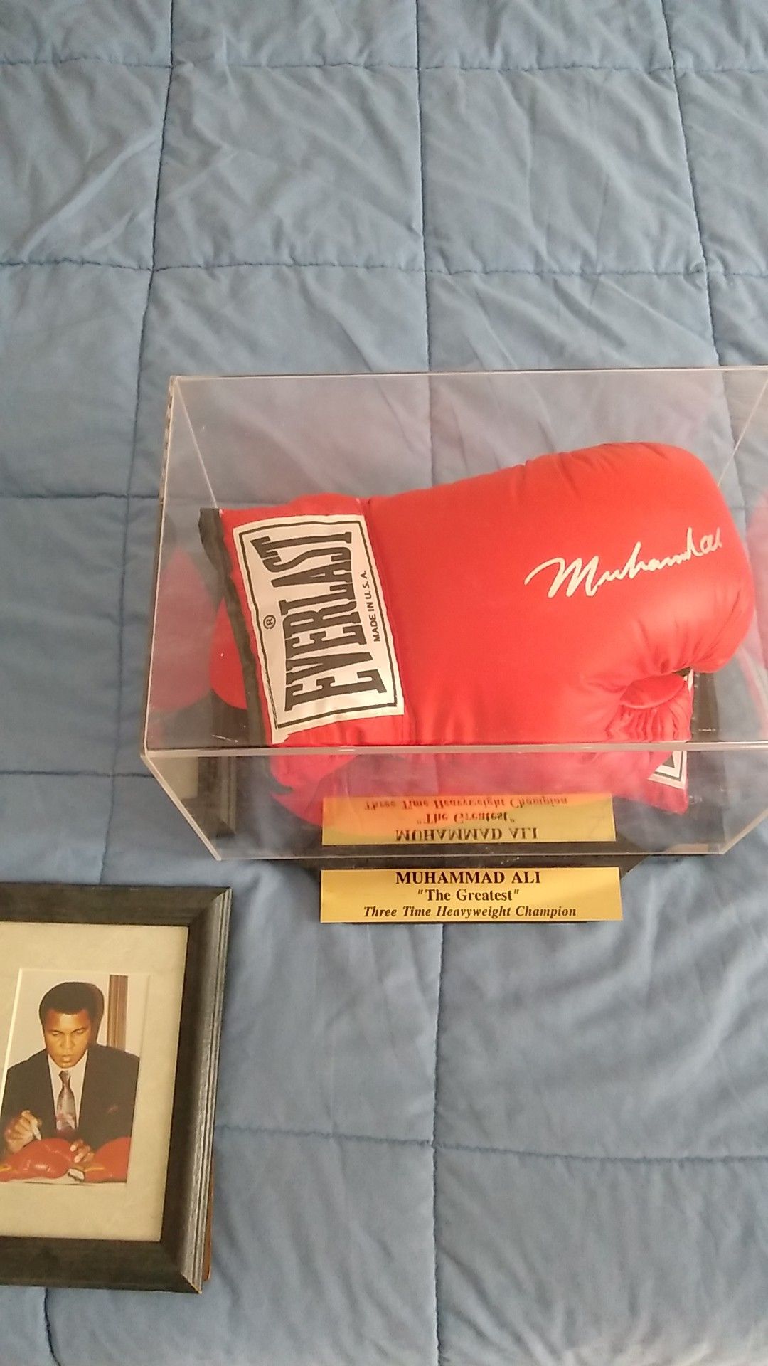 Collector Boxing Gloves