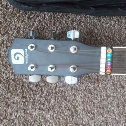 Acoustic Electric Guitar