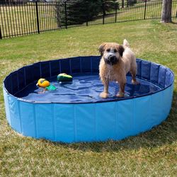 Foldable Dog Pool