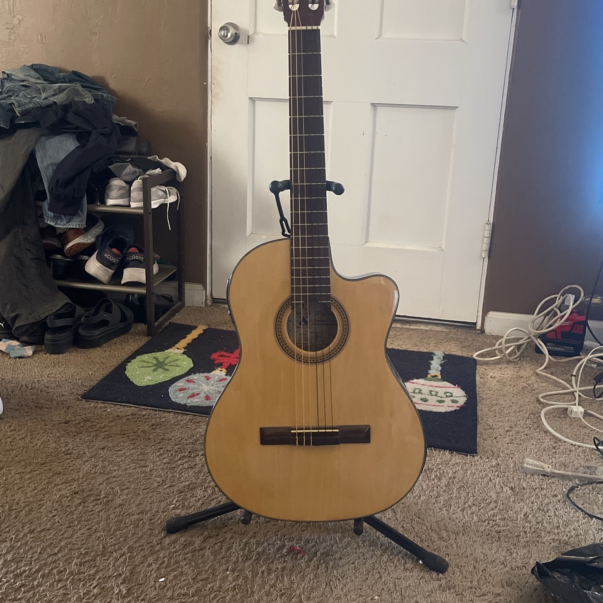 Palmer  Guitar 