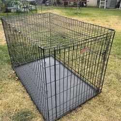 Dog Crate