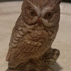 Owl Decor