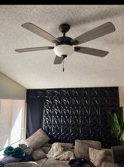 Ceiling fan and Light.