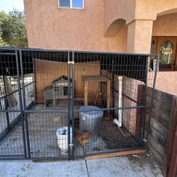 XL Chicken Coop Set Up. 