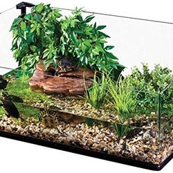 Large Exo Terra Bent Glass Terrarium With Stand 