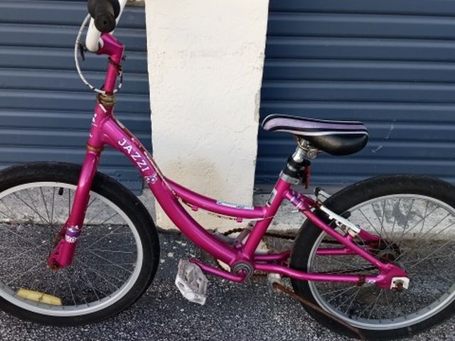Jazzi Girls Bike Tuned Up Works Perfect