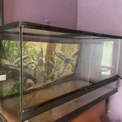 40 Gallon Terrarium 