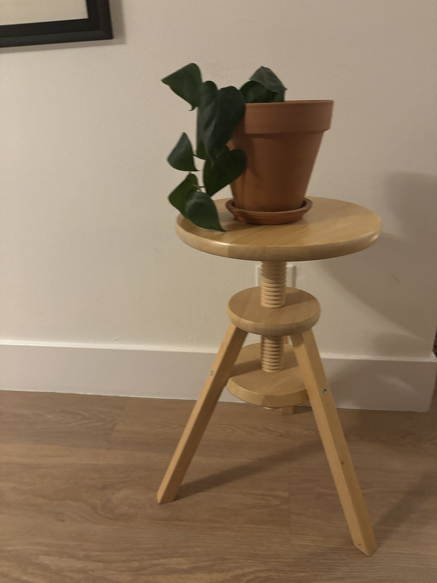 Plant Stand/Stool