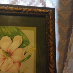 Beautiful Map Make A Offer