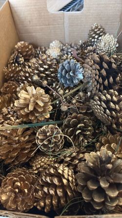 Decorative pine cones and acorns - 2 boxes full