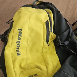 Patagonia Backpack