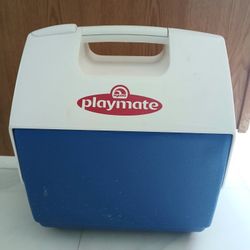Igloo Playmate Elite 16 Qt Cooler