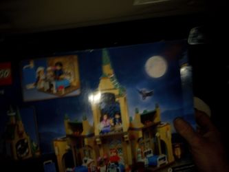 Harry Potter Lego 76398