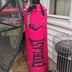 Punching Bag