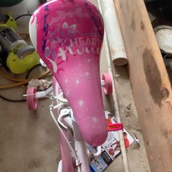 Princess Bike 