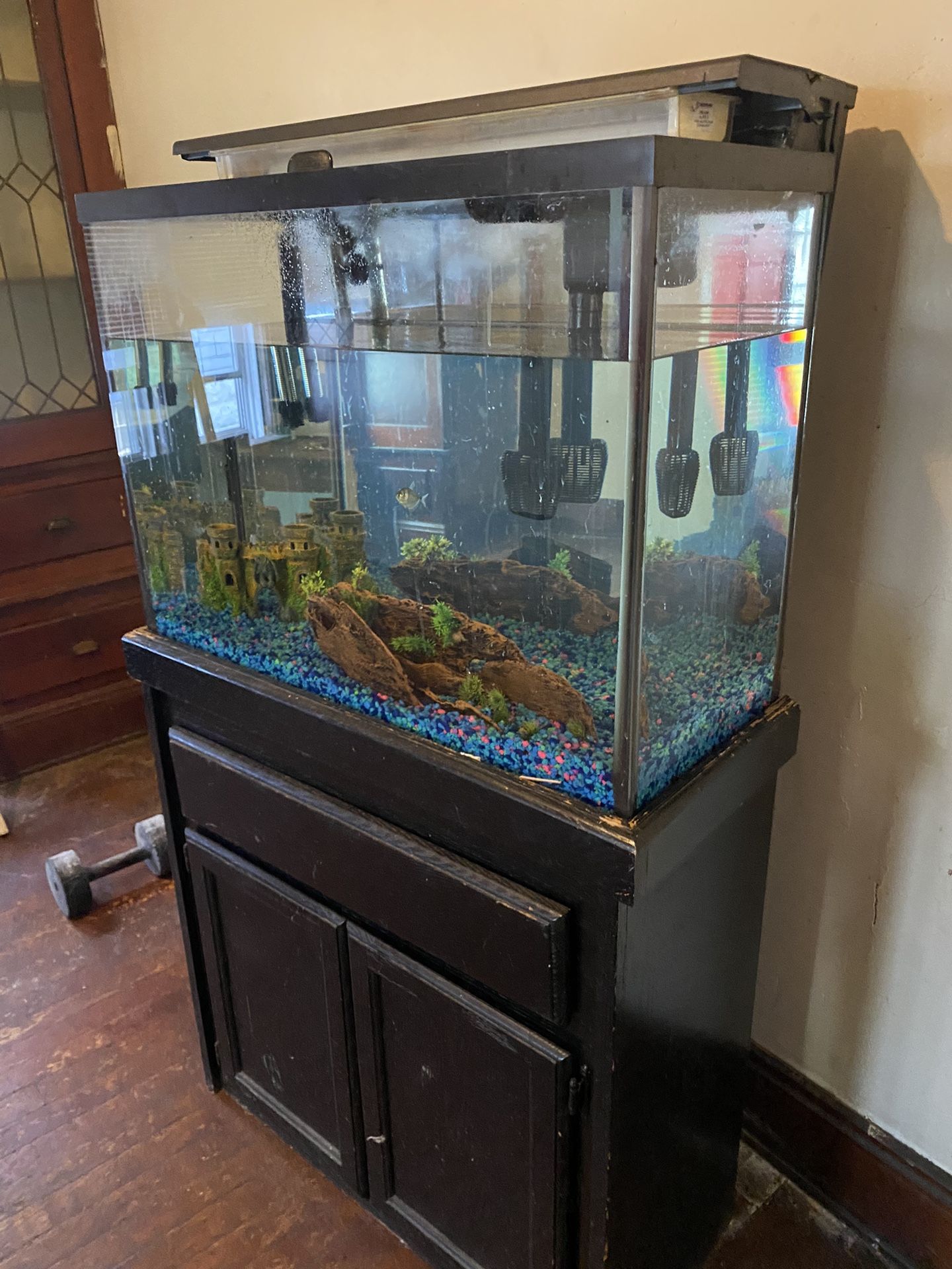 Fish Tank
