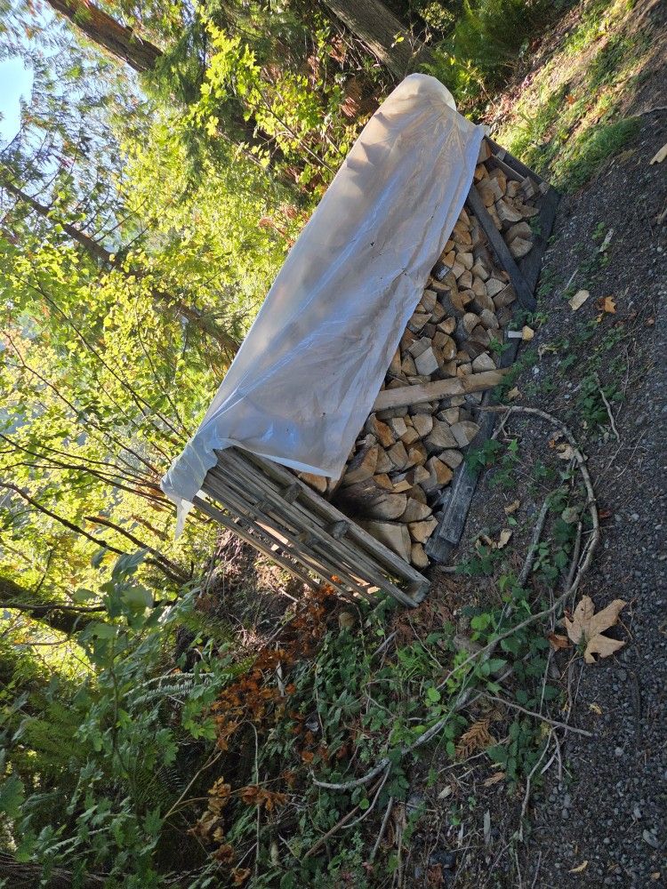 Dry Firewood